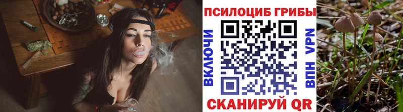Галлюциногенные грибы мицелий  мега ССЫЛКА  Белёв 